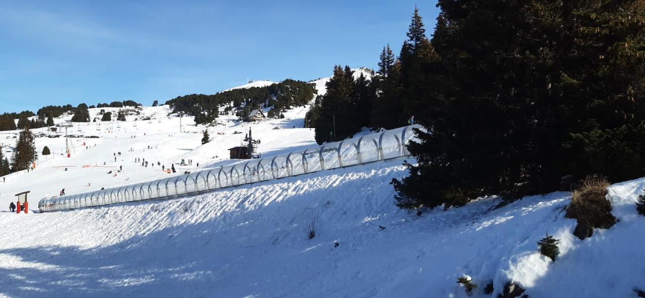 Studio Aux Pieds Des Pistes Roche Beranger シャンルッス エクステリア 写真