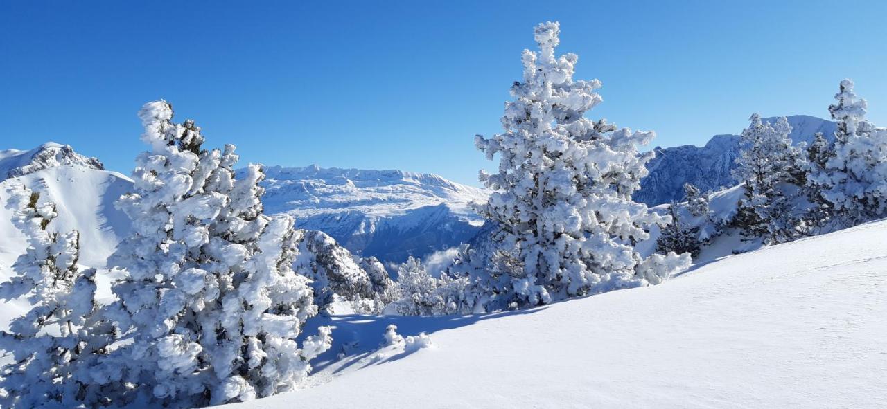 Studio Aux Pieds Des Pistes Roche Beranger シャンルッス エクステリア 写真